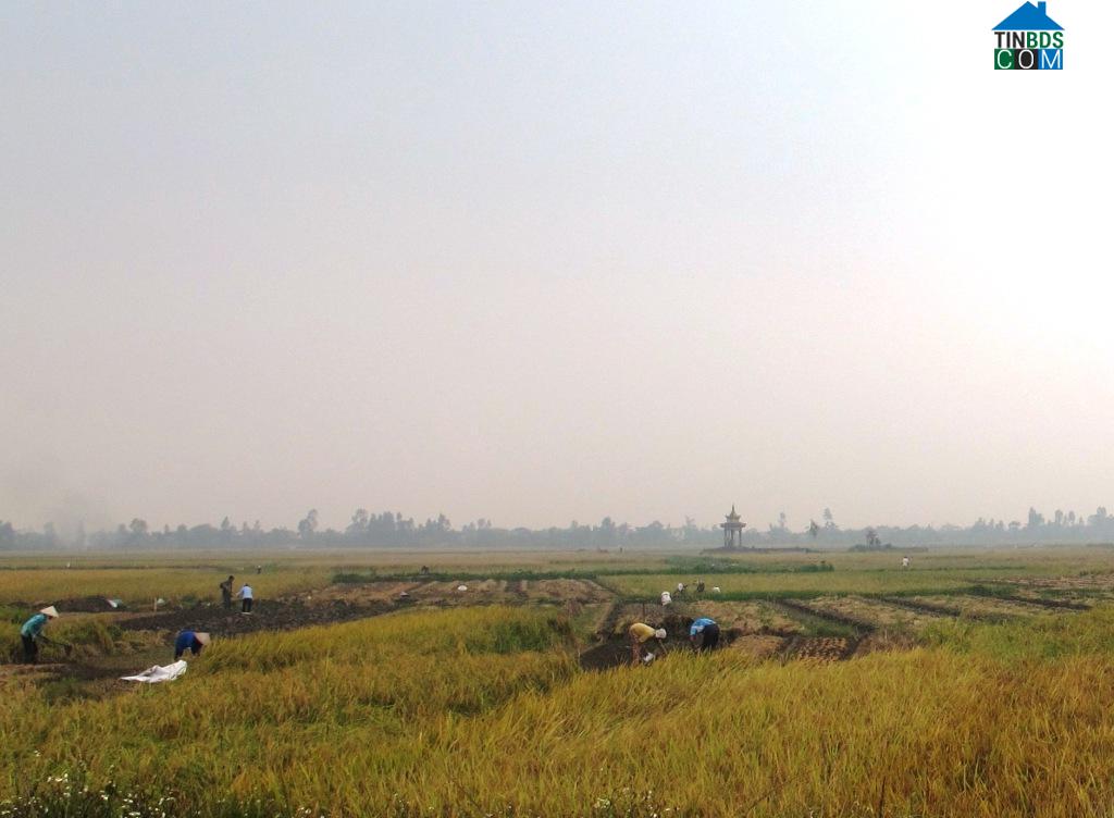 Hình ảnh Tây Thụy Anh, Hưng Yên