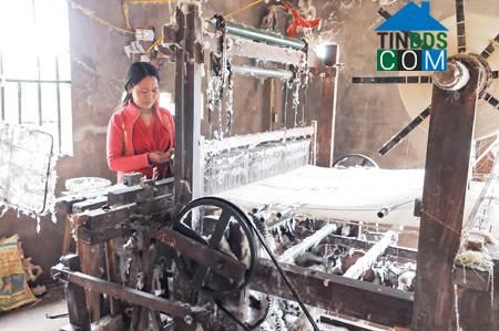 Hình ảnh Thái Ninh, Hưng Yên