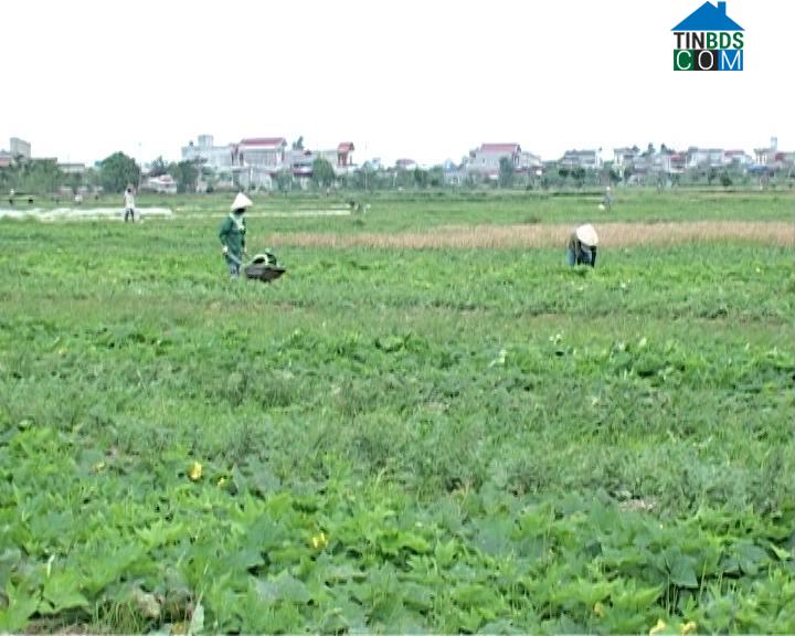 Hình ảnh Nam Thụy Anh, Hưng Yên
