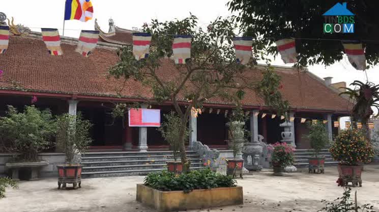 Hình ảnh Nam Tiên Hưng, Hưng Yên