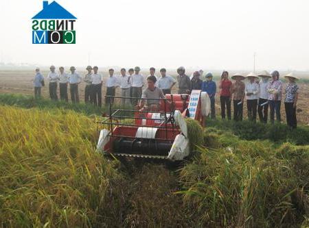 Hình ảnh Nguyễn Văn Linh, Hưng Yên