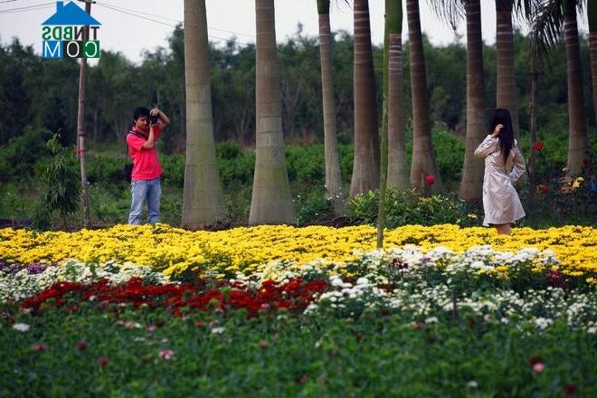 Hình ảnh Phụng Công, Hưng Yên