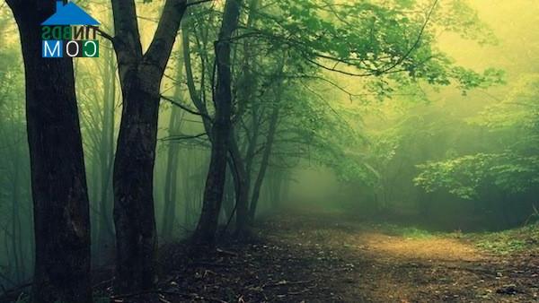 Hình ảnh Anh Dũng, Khánh Hòa