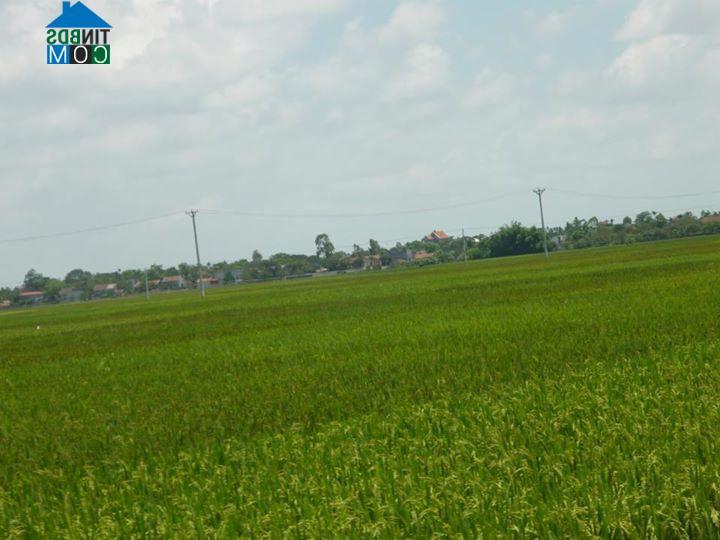 Hình ảnh Tiên Hoa, Hưng Yên