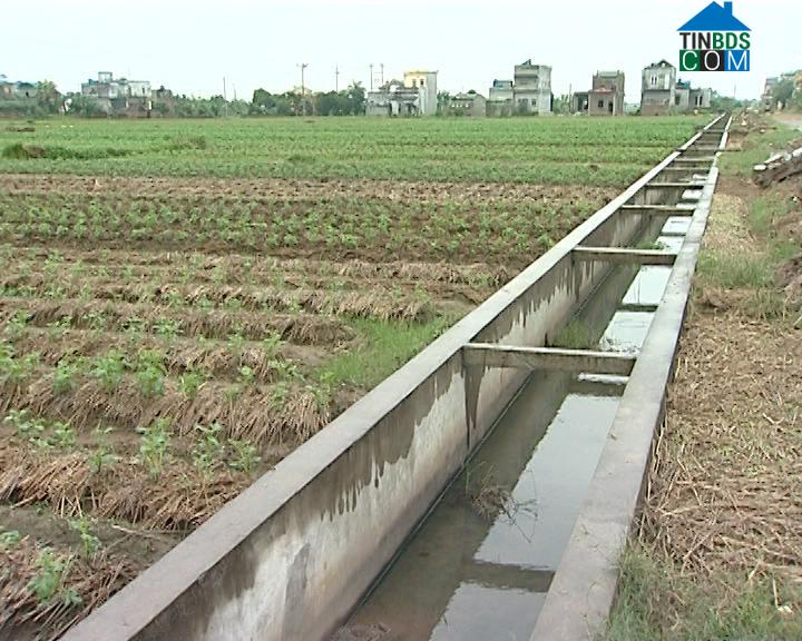 Hình ảnh Vũ Quý, Hưng Yên