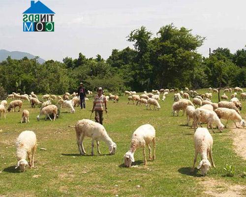 Hình ảnh Phước Hà, Khánh Hòa