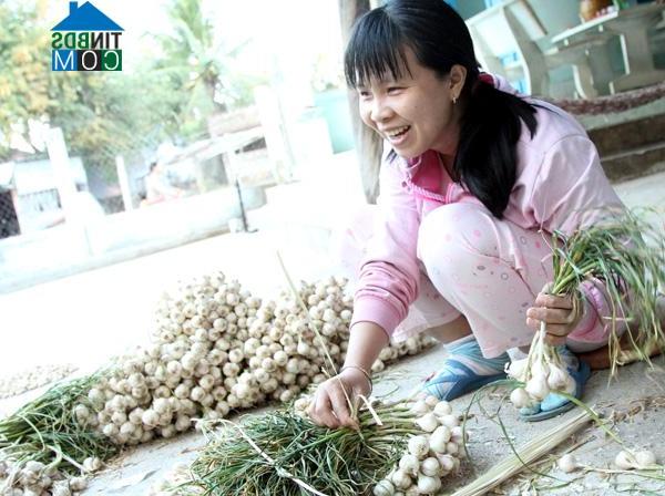 Hình ảnh Đông Hải, Khánh Hòa