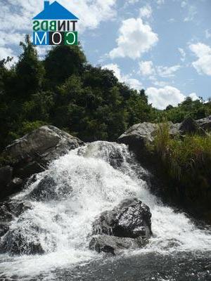 Hình ảnh Hòa Trí, Khánh Hòa