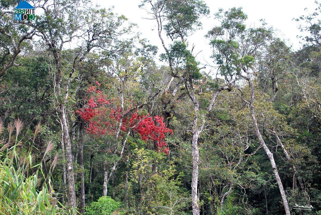 Hình ảnh Nam Khánh Vĩnh, Khánh Hòa