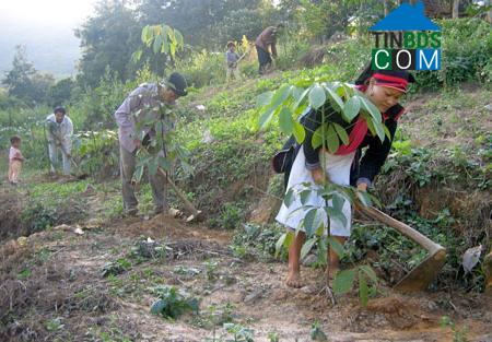 Hình ảnh Khổng Lào, Lai Châu