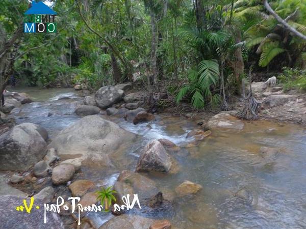 Hình ảnh Tây Khánh Vĩnh, Khánh Hòa