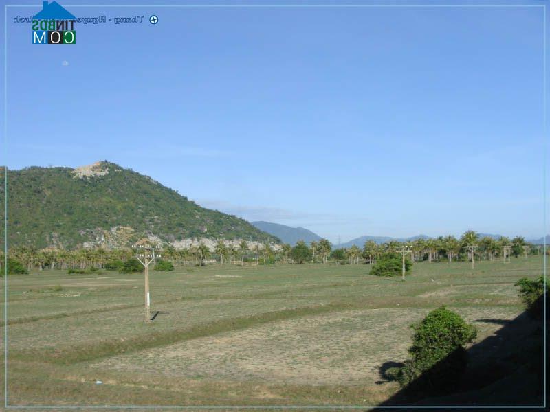 Hình ảnh Tu Bông, Khánh Hòa