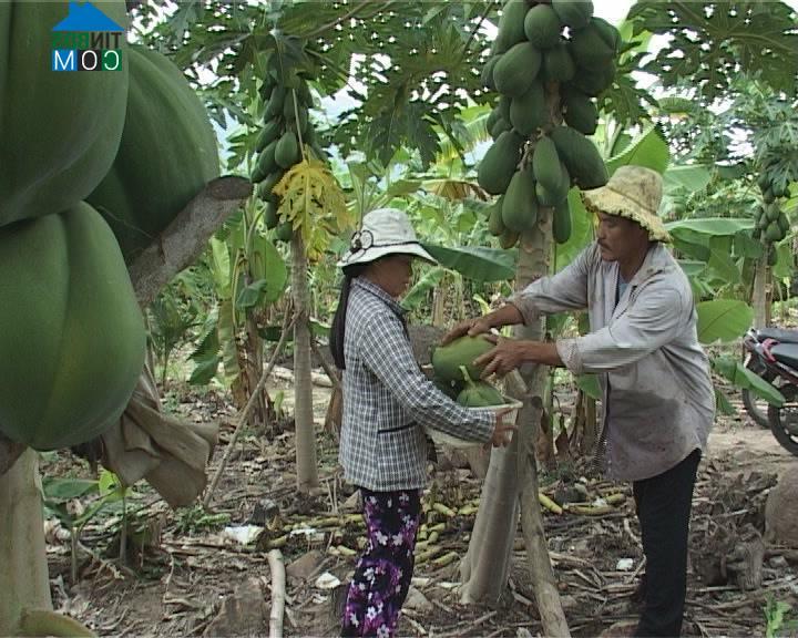 Hình ảnh Vạn Hưng, Khánh Hòa