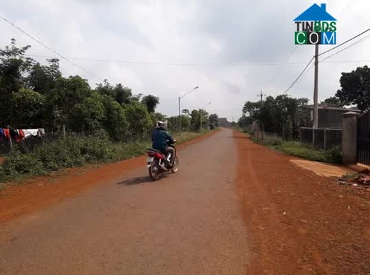 Hình ảnh Thuận Hạnh, Lâm Đồng