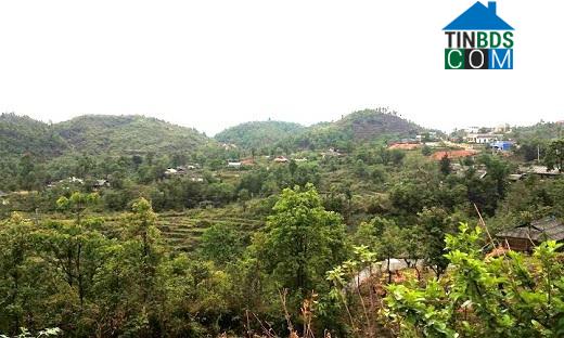 Hình ảnh Tả Lèng, Lai Châu