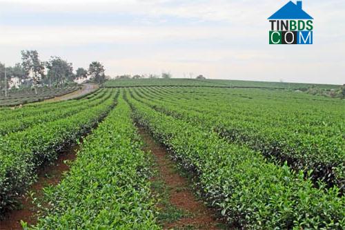 Hình ảnh Bảo Lâm 3, Lâm Đồng