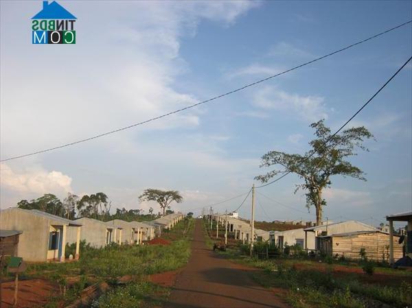 Hình ảnh Quảng Trực, Lâm Đồng