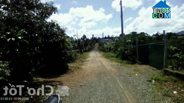 Hình ảnh 3 Bảo Lộc, Lâm Đồng