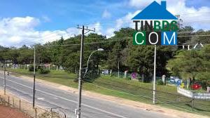 Hình ảnh Lâm Viên - Đà Lạt, Lâm Đồng