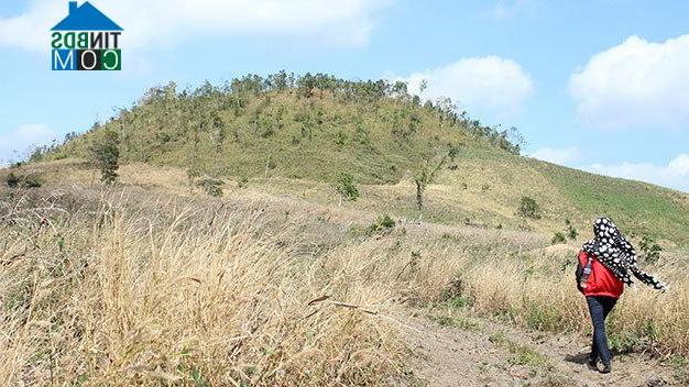 Hình ảnh Nam Đà, Lâm Đồng