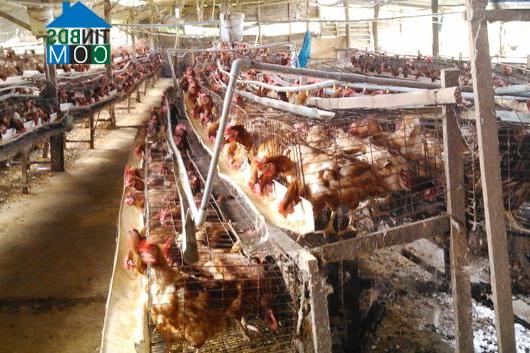 Hình ảnh Nam Dong, Lâm Đồng