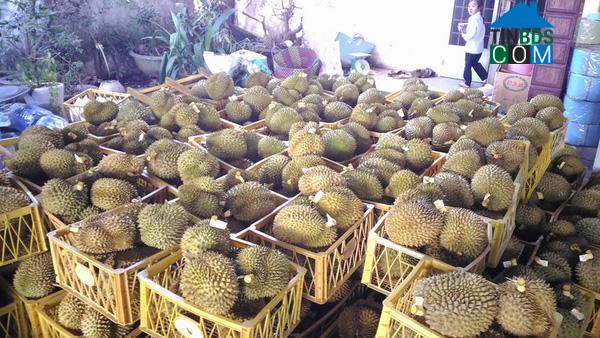 Hình ảnh Hòa Bắc, Lâm Đồng