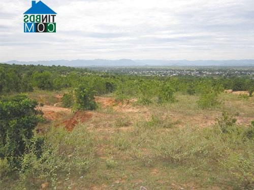 Hình ảnh Hòa Thắng, Lâm Đồng