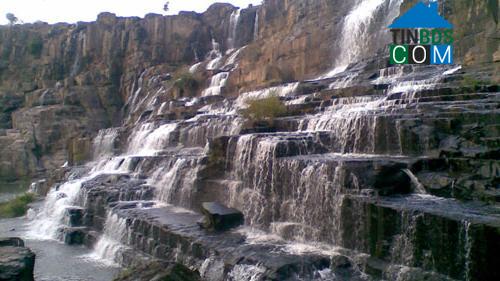 Hình ảnh Tân Hội, Lâm Đồng