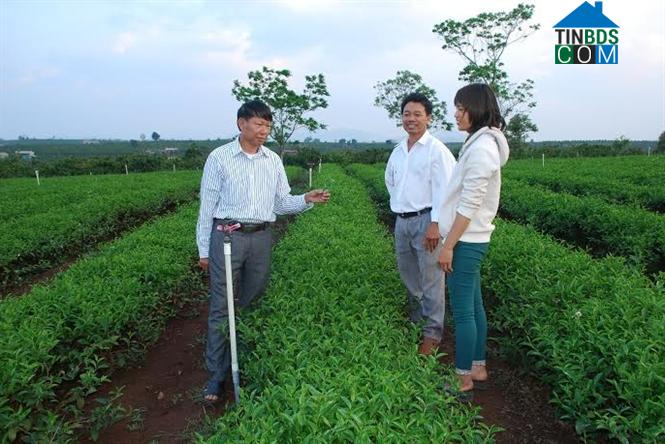 Hình ảnh Phúc Thọ Lâm Hà, Lâm Đồng