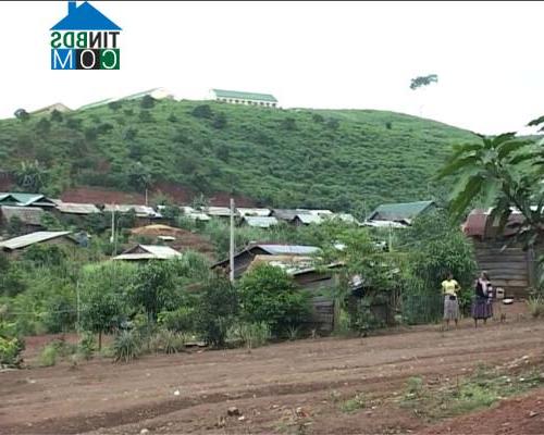 Hình ảnh Quảng Tân, Lâm Đồng