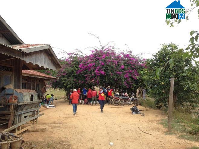 Hình ảnh Tà Năng, Lâm Đồng