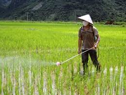 Hình ảnh Cai Kinh, Lạng Sơn