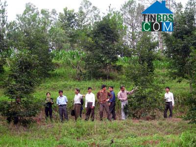 Hình ảnh Cao Lộc, Lạng Sơn