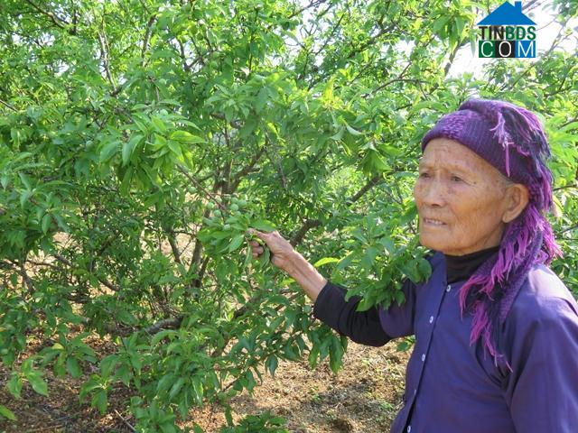 Hình ảnh Công Sơn, Lạng Sơn