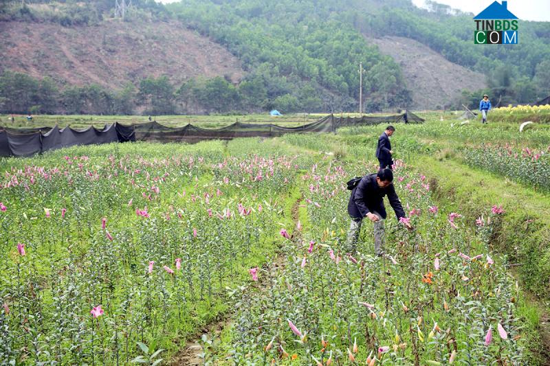 Hình ảnh Yên Bình, Lạng Sơn