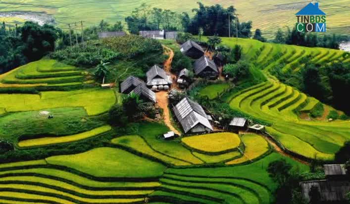 Hình ảnh Bản Hồ, Lào Cai