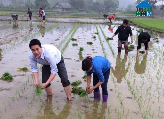 Hình ảnh Bản Lầu, Lào Cai