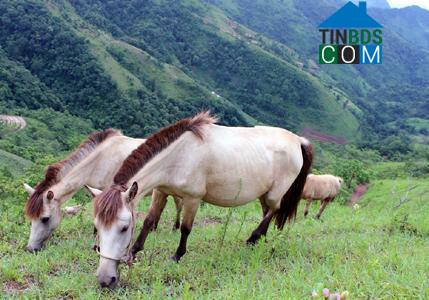 Hình ảnh Quan Sơn, Lạng Sơn