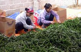 Hình ảnh Vân Nham, Lạng Sơn