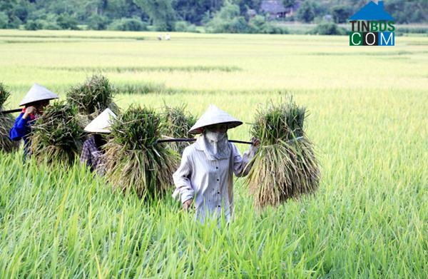 Hình ảnh Khánh Yên, Lào Cai