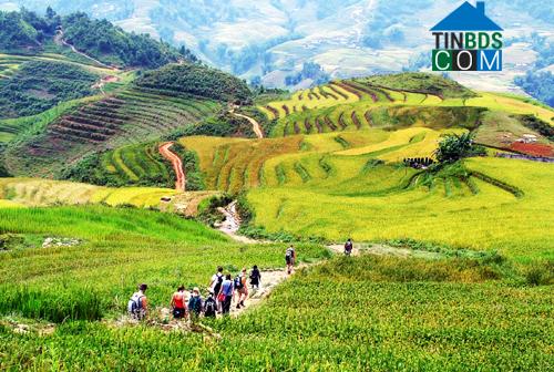 Hình ảnh Lao Chải, Lào Cai