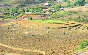 Hình ảnh Bản Xèo, Lào Cai