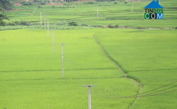 Hình ảnh Bảo Hà, Lào Cai