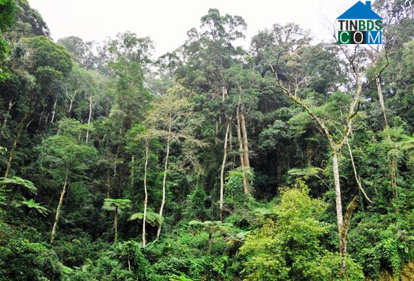 Hình ảnh Chiềng Ken, Lào Cai