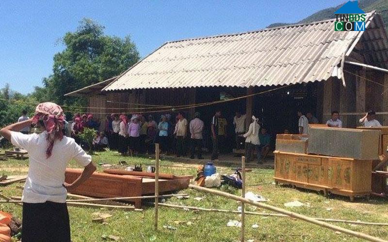 Hình ảnh Dương Quỳ, Lào Cai