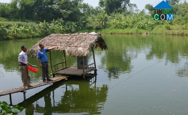 Hình ảnh Gia Phú, Lào Cai