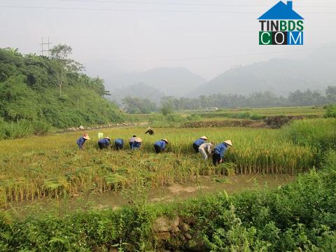 Hình ảnh Hợp Thành, Lào Cai