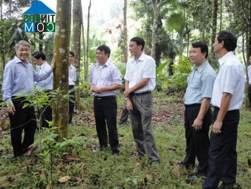 Hình ảnh Tân Hợp, Lào Cai