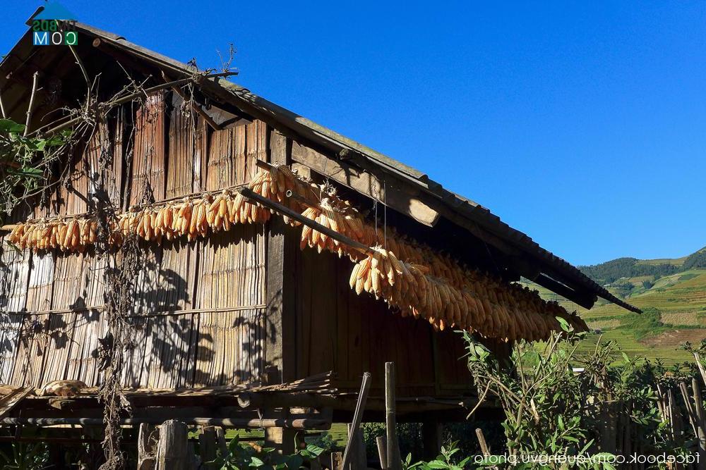 Hình ảnh Mù Cang Chải, Lào Cai