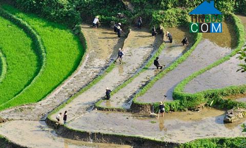 Hình ảnh Nậm Chày, Lào Cai